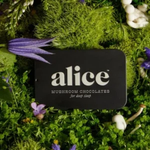 Alice Mushrooms NightCap – 2 Tins (32 Doses)