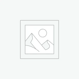 Alice Mushrooms – Brainstorm Chocolate For Sharp Focus